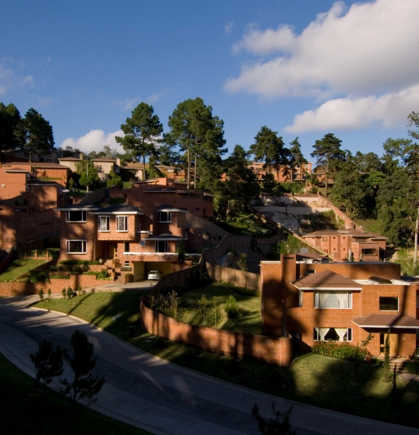 bosques de las luces